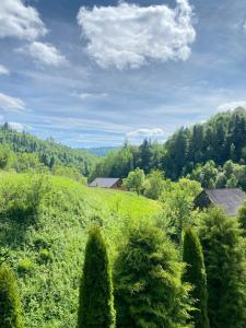 Котеджі Віват