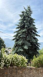 Appartements Au calme, proche Font Romeu, randonnee, ski : Appartement 1 Chambre