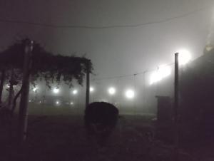 Himgiri Nature Retreat