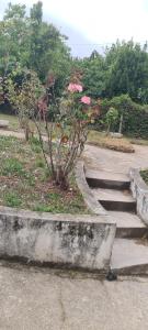 Appartement T2 indépendant