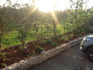 Studio apartman LIGHTHOUSE