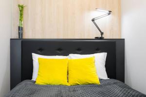 Rakowicka Apartments with tarrace, AC and free parking