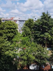 Two bedroom apartment Mikheil