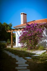 Endless Summer Surf House