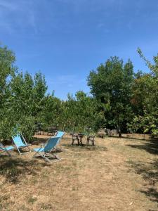 B&B / Chambres d'hotes LA GRAND'VIGNE : photos des chambres