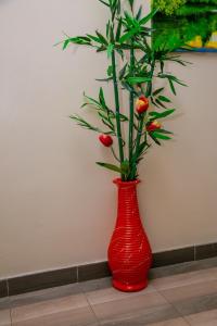 Amazing apartment in Milimani -Kisumu