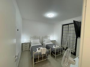 CASA NINA affittacamere