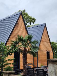 SEA SIDE-მზის მხარე-N 2