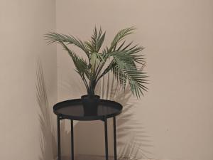 luxury stay, great vibes