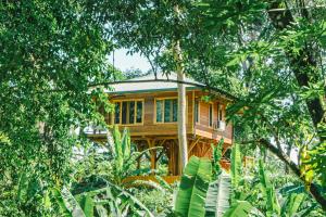 Carenero Hills - Beach and Surf Bungalows