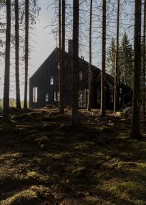 Usva House Private Art & Design Villa