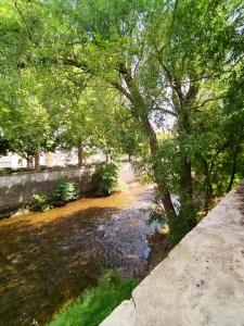 Appartements Etoile 21 - Dazzling view of Dijon canal : photos des chambres