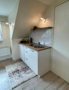 The Green Oasis Studio