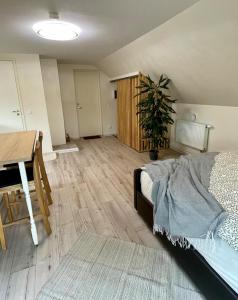 The Green Oasis Studio