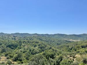 Ishëm Greenview Apartments