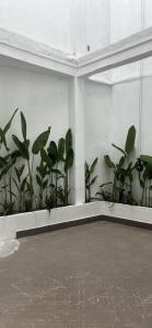 Căn hô 1 phòng ngủ