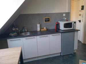 Appartements Studio meuble en centre ville : photos des chambres