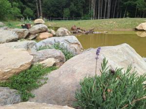 Froschteichhäuschen - Natur und Wellness