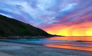 Jungle Beach House - Praia Guaeca