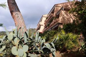 Appartements Nice 27m with terrace and sea view : Studio