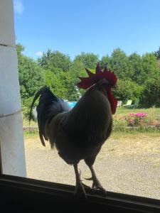 Fermes The Llama Farm France : photos des chambres