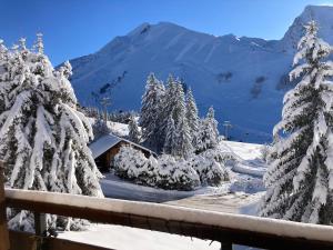 Appartements Studio cosy avec vue montagne au pied des pistes : photos des chambres