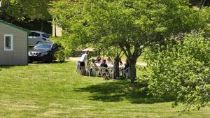 Campings La Foret Enchantee : photos des chambres