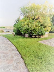 Casa Pito Pito img27