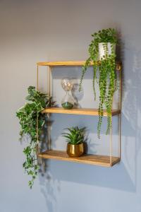 Residenza Santa Anastasia with AC and lift