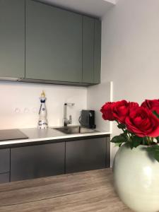 Le Clio Hyper Centre proche Promenade