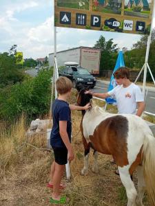 Seosko domaćinstvo STAREVINA