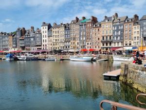 Appartements VILLA-AUDEMER - BELLEVUE centre-ville Pont-Audemer proche Honfleur : photos des chambres