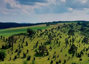 Apartment bei Nürburgring, Parking, Homeoffice