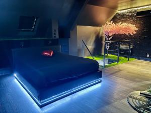 Appartements La Suite Oh la la - Duplex Jungle & Jacuzzi Prive : photos des chambres