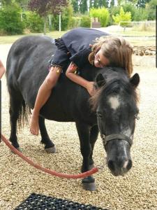 Maisons de vacances Les Gites de Borely : photos des chambres