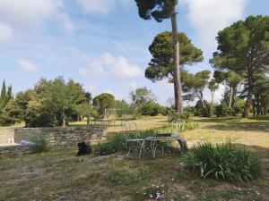 Maisons de vacances Les Pins : photos des chambres