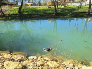 Campings Les 2 etangs de la foulonnerie : photos des chambres