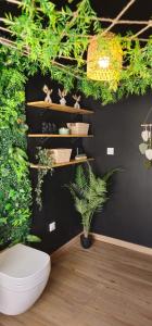 Appartements Suite Mahe : photos des chambres