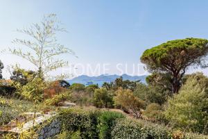 Votre maison de vacances dans un écrin de verdure - Cannes