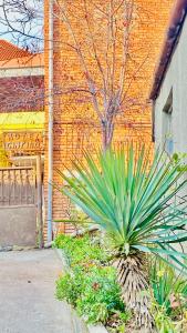 Guest House Chirina