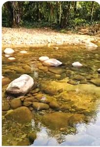 Paz e sossego em Guapiaçu junto ao rio de águas cristalinas