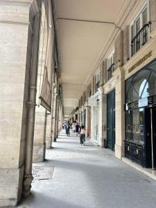 Spacious Parisian Flat Louvre Steps Eiffel Tower Access