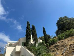 B&B / Chambres d'hotes Casa Mimosa : photos des chambres