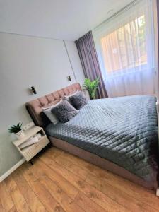 Trumpalaikė buto nuoma Plungėje STUDIJA A