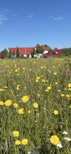 Viesu māja Bitītes