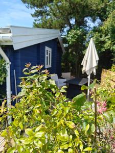 Charmerende Norsk Bjælkehytte med fibernet