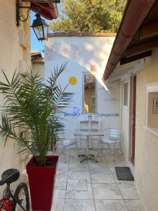 Appartements Coconbeach la plage a la ville : Appartement 1 Chambre