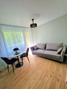 Trumpalaikė buto nuoma Plungėje STUDIJA B