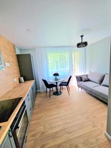 Trumpalaikė buto nuoma Plungėje STUDIJA B