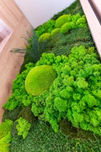 Family space with free parking & Air condition